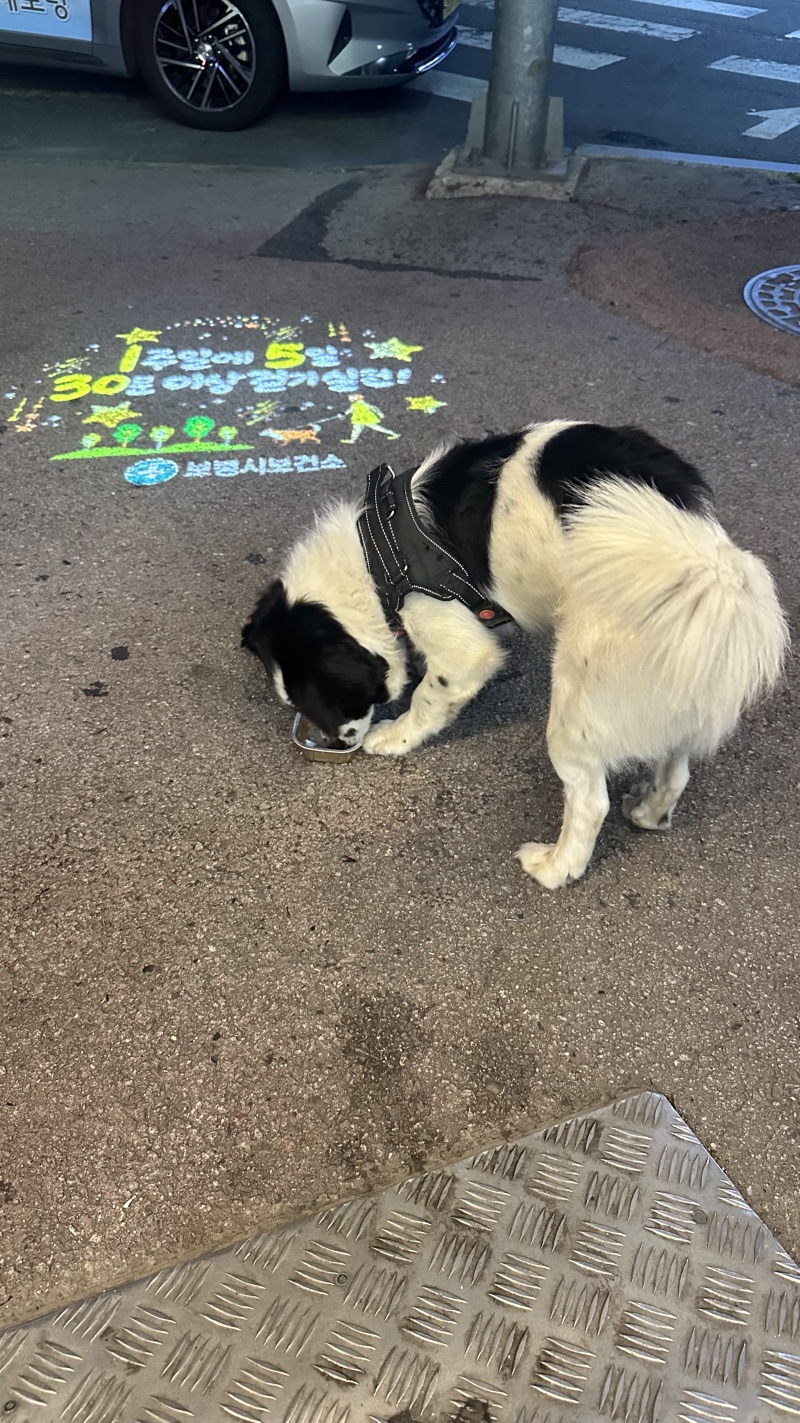 IMG_0025.jpeg